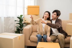 建筑材料与施工技术支持服务